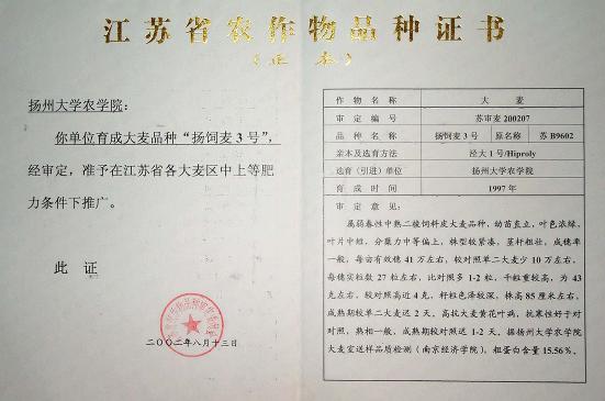 飼、食兼用大麥品種——揚(yáng)飼麥3號(hào) 國(guó)家保護(hù)授權(quán)品種轉(zhuǎn)讓與技術(shù)推廣