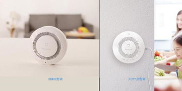 武漢小米科技 智能家居生態(tài)鏈的優(yōu)質制造與創(chuàng)新引擎